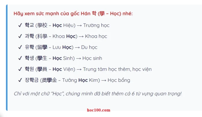 Vì Sao Từ Hán Hàn Là "Chìa Khóa Vàng" Giúp Bạn Chinh Phục Tiếng Hàn? vì sao nên học từ hán hàn